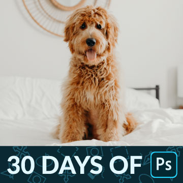 30 days of photoshop tour of photoshop