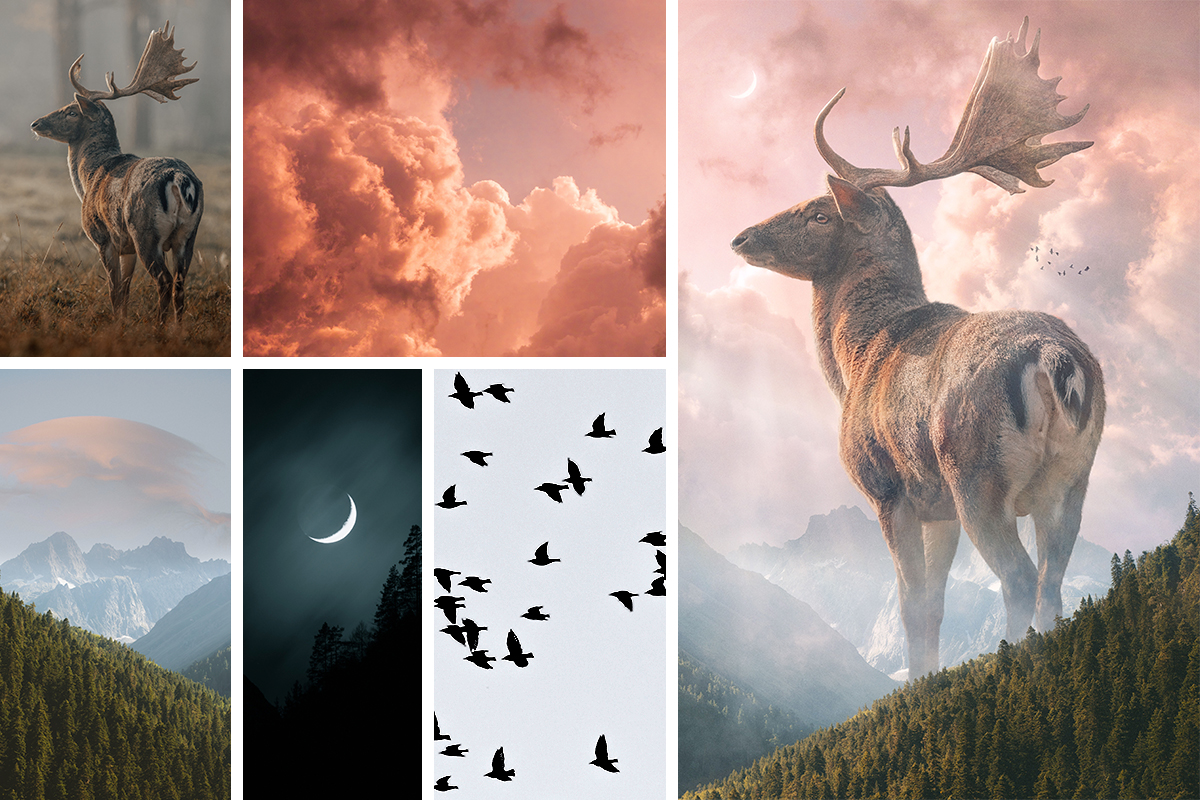 nature composite stock photos photoshop