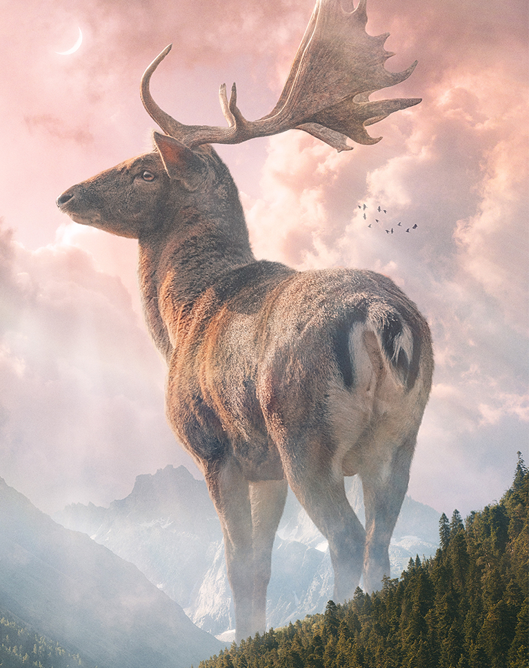 nature composite stock photos photoshop